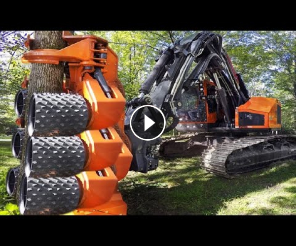 Tractorgallery Net World Dangerous Fastest Skill Excavator Tree